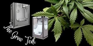grow tent